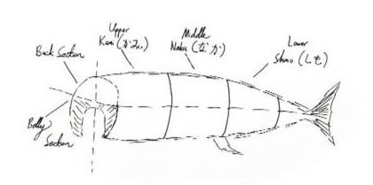 Sections of Fish
